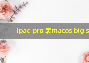 ipad pro 装macos big sur